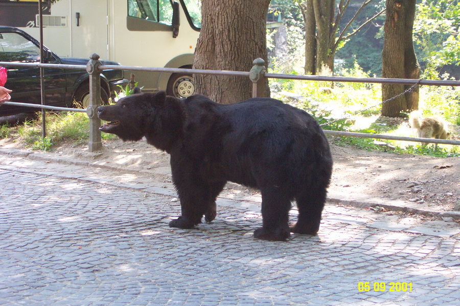 2001-09-05 11-46-56.JPG - RO Sinaia